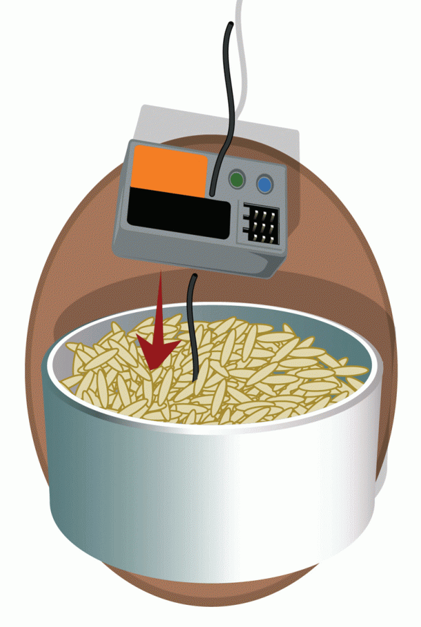 RC Tip Revive Wet Electronics