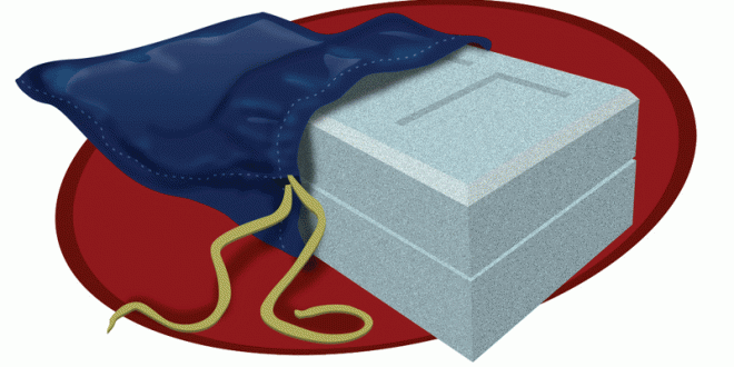 RC Tip - Simply Marble-ous Transmitter Bag