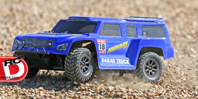 helion-animus-18dt_3-copy