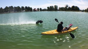 Traxxas X-Maxx Project