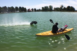 Traxxas X-Maxx Project