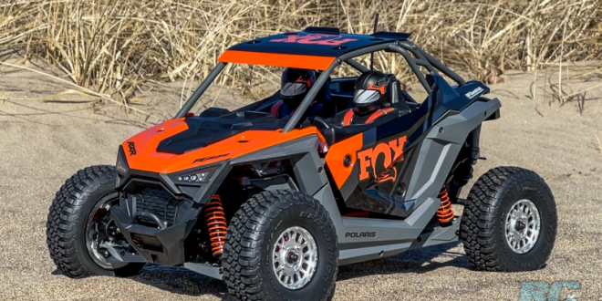 Losi Polaris RZR Rey